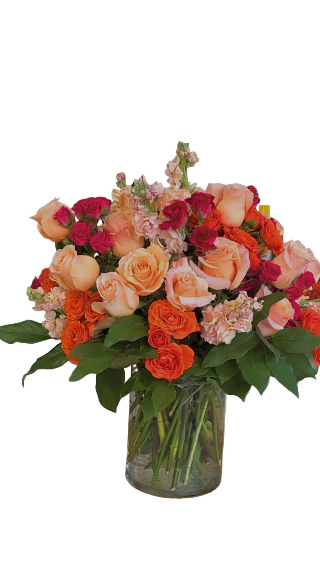 Peachy Blooms