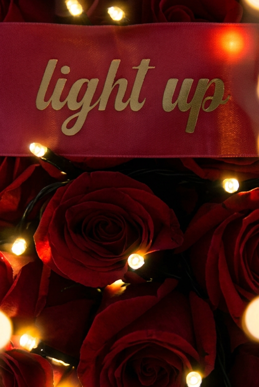 Bouquet L.E.D lights