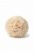 Ivory rose bouquet on white studio background