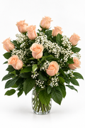 Peach rose arrangement on a white studio background